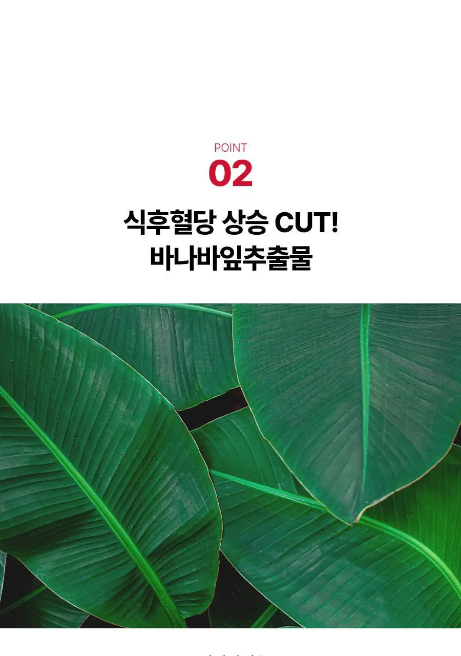 [서현PICK] 콜레올로지 PRO 600mg*60정 (1개월분) 상세페이지 22
